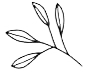 _0000_Layer-92.png