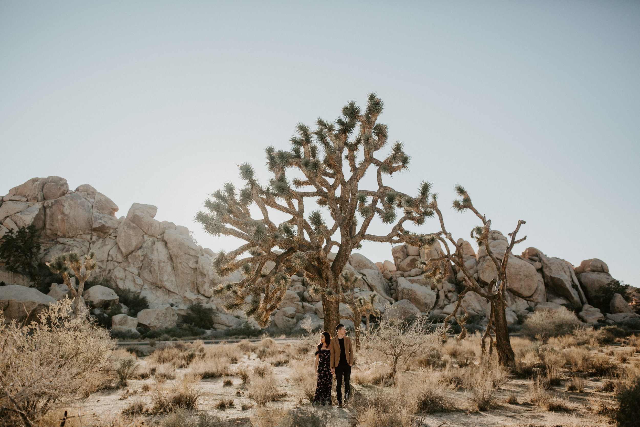 Vivian + Jonathan Engagement-72.jpg