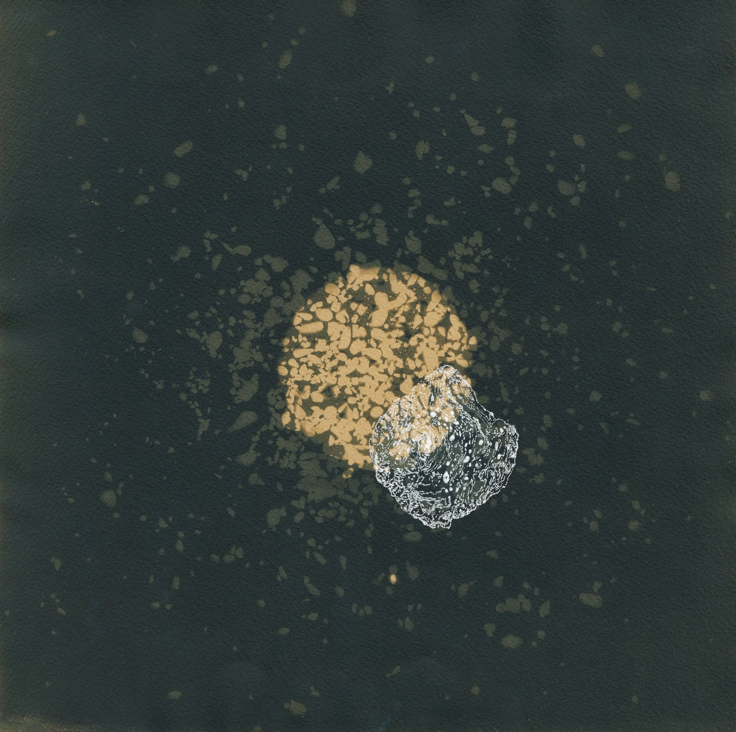 Orbital Bodies 6 | Toned cyanotype with ink on Arches | 2026 | 11.5 x 11.5"
