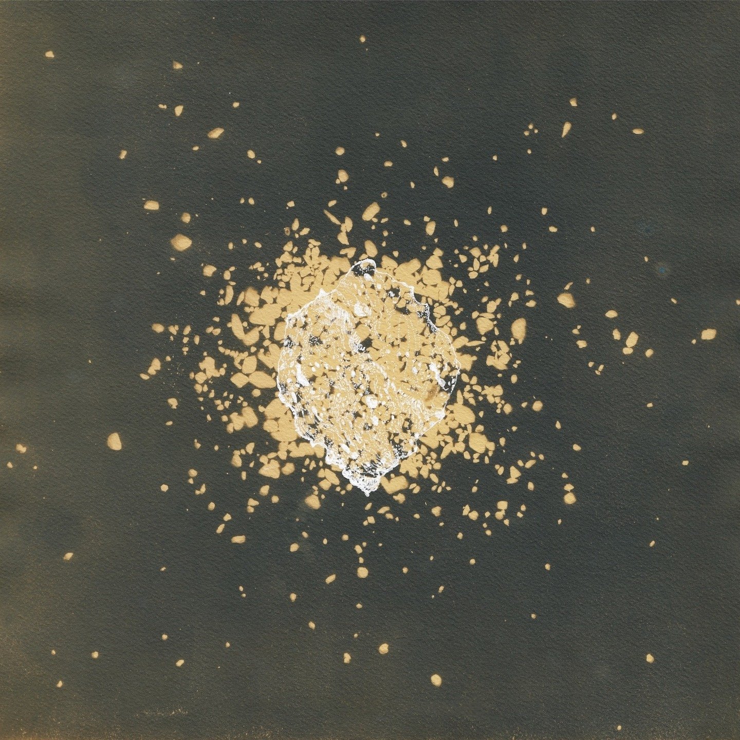 'Orbital Bodies 4' from 'The Ground is Full of Stars' opening today for the public @manifestgallery (6-9pm). This is one of 8 toned cyanotype-drawings made with stones from the Cohutta Wilderness. A big thank you to everyone at Manifest and at the @e