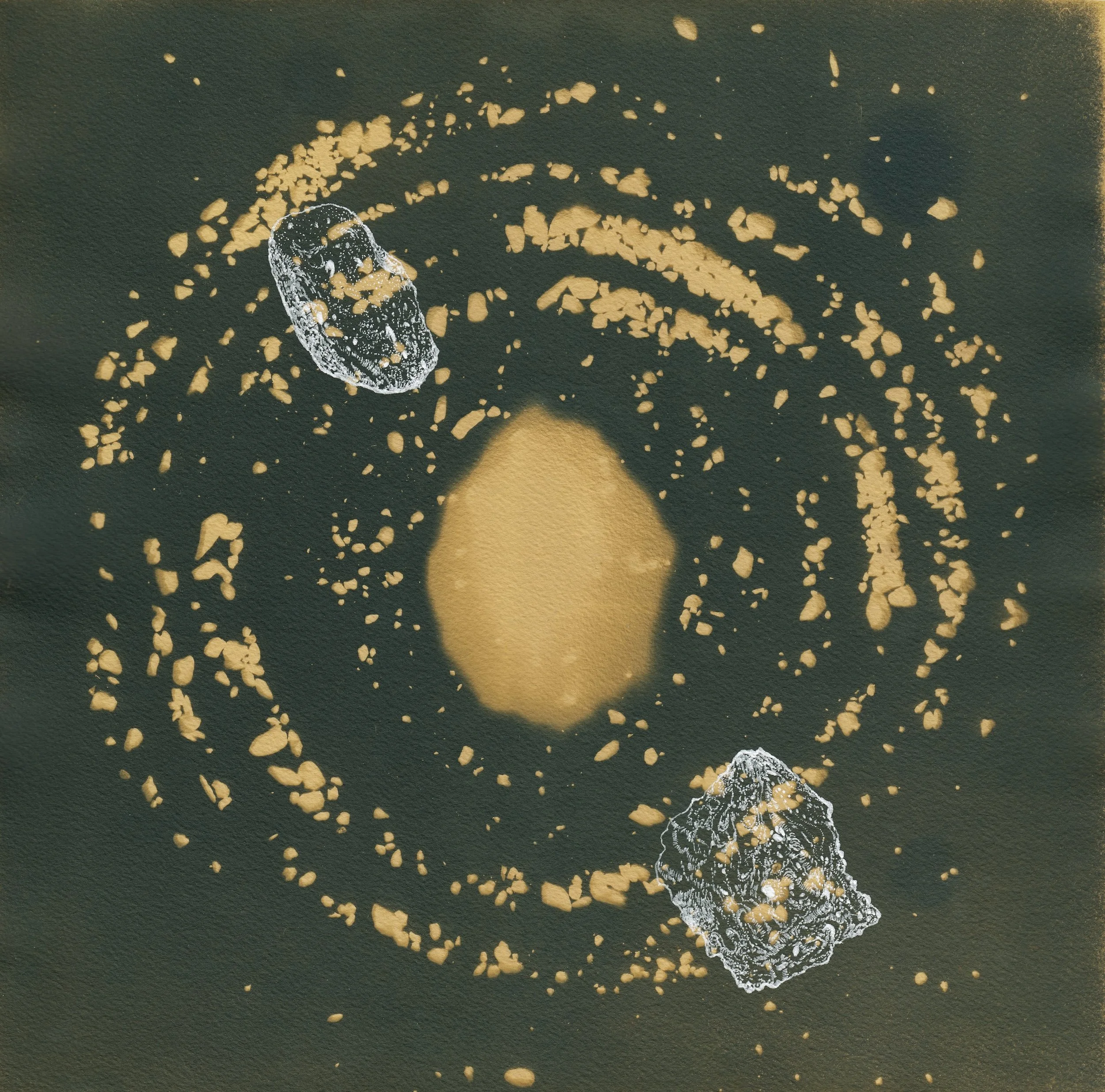 Orbital Bodies 2 | Toned cyanotype with ink on Arches | 2026 | 11.5 x 11.5"