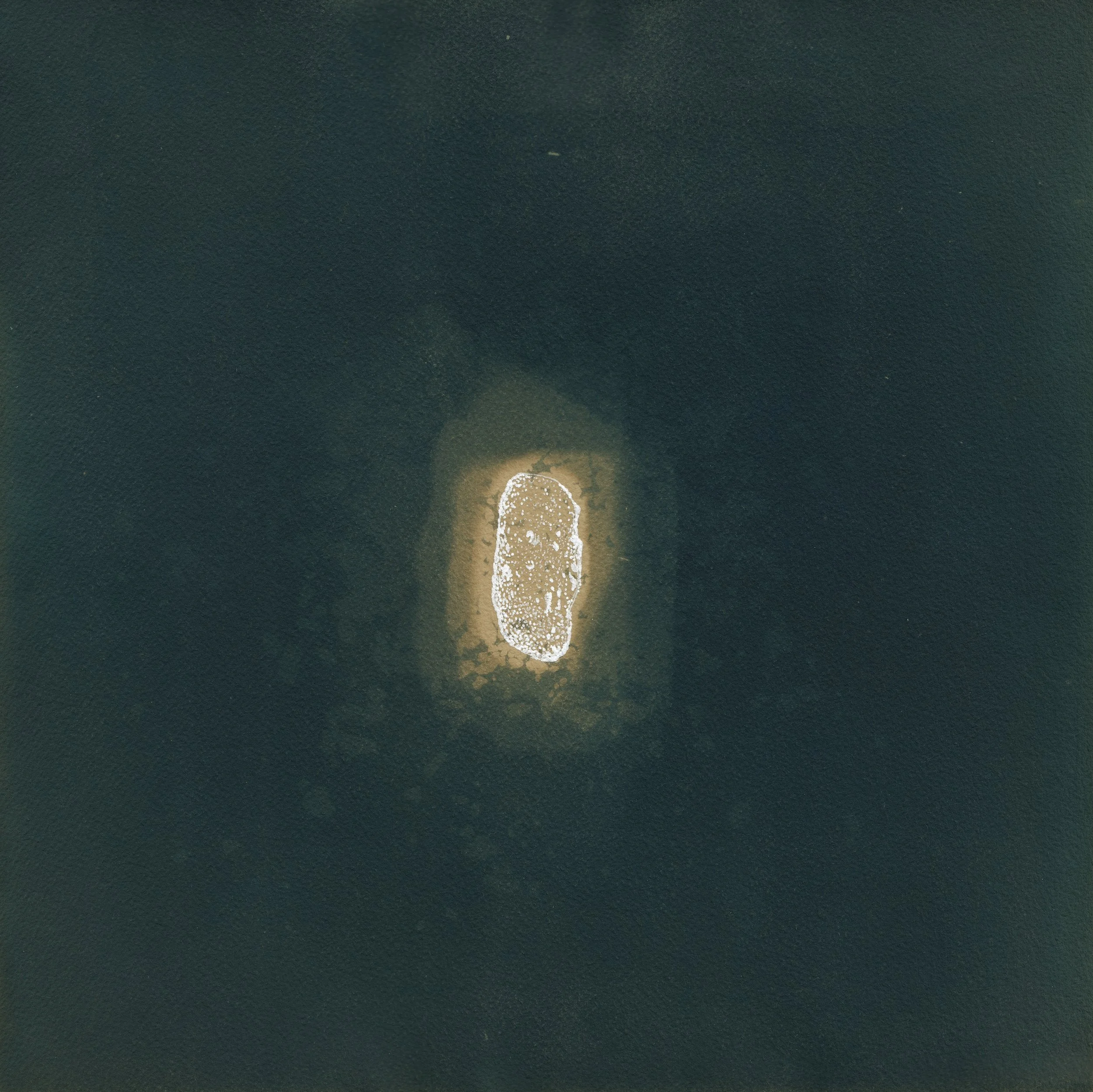 Orbital Bodies 11 | Toned cyanotype with ink on Arches | 2026 | 11.5 x 11.5" 