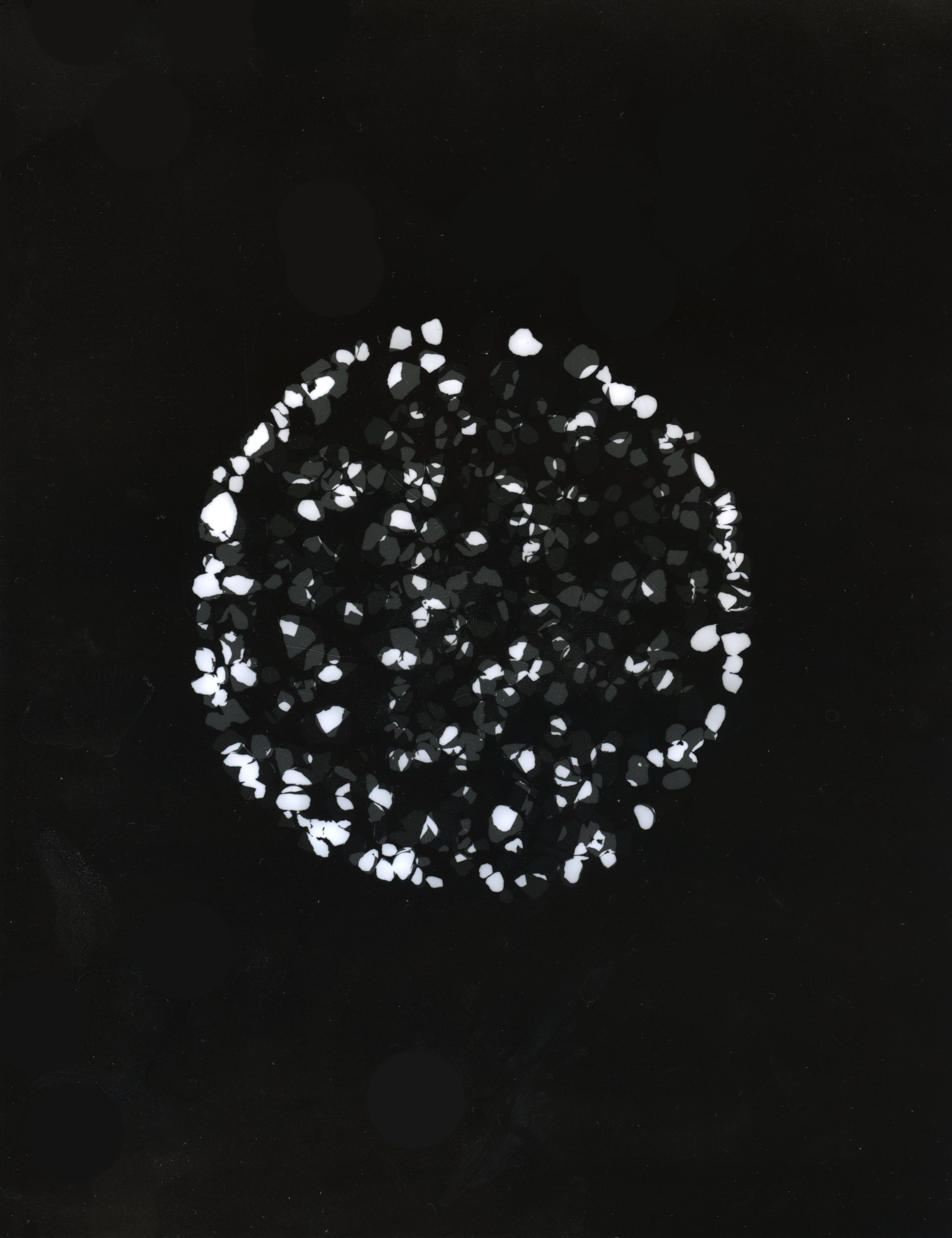 StarDiscs Pebbles at 42° 14' 60.00" N x -77° 46' 59.99" W detail | Contact exposure on light sensitive paper | 2024 | 8 x 10" 