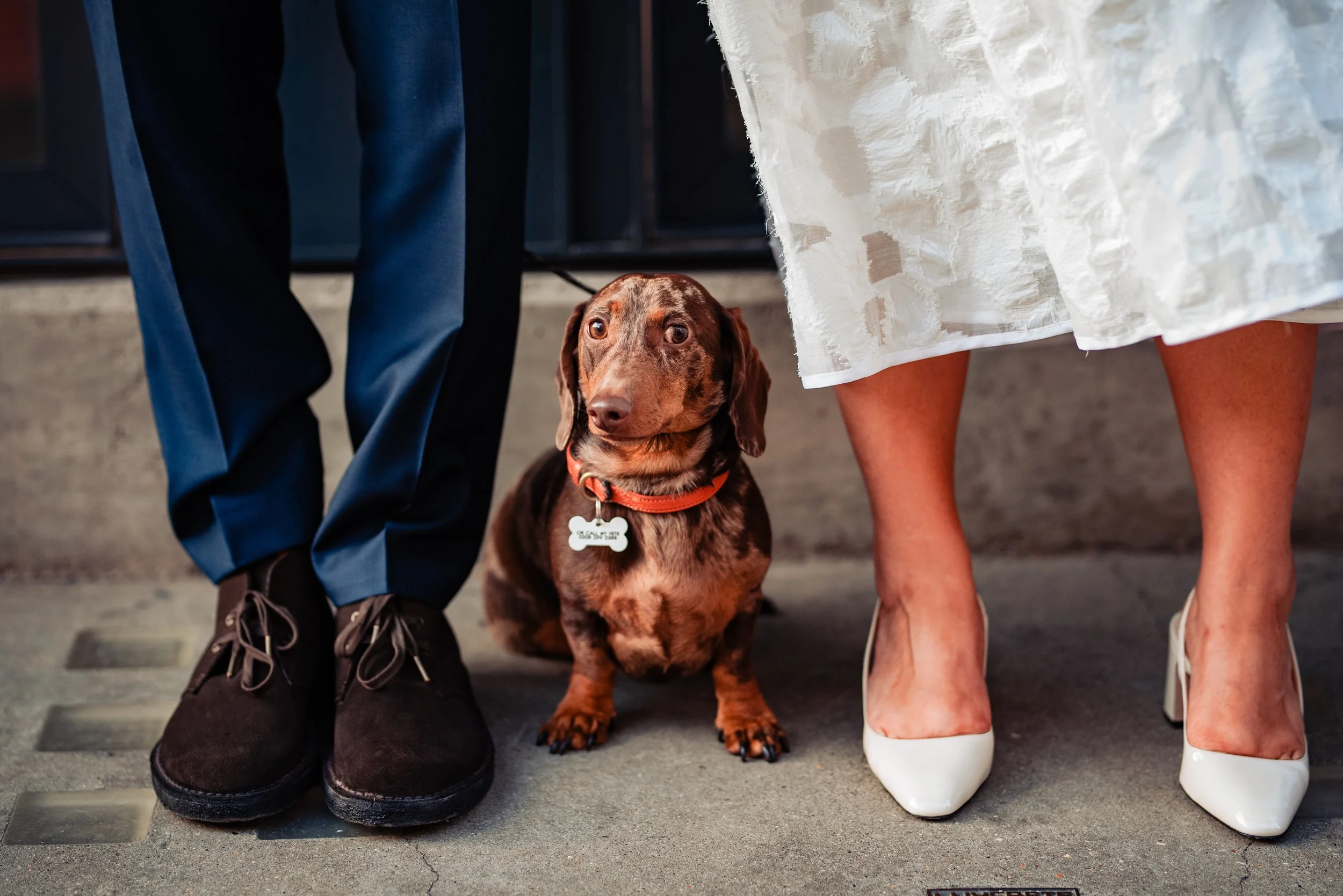 Laura&Dom_23 (442 of 670).jpg