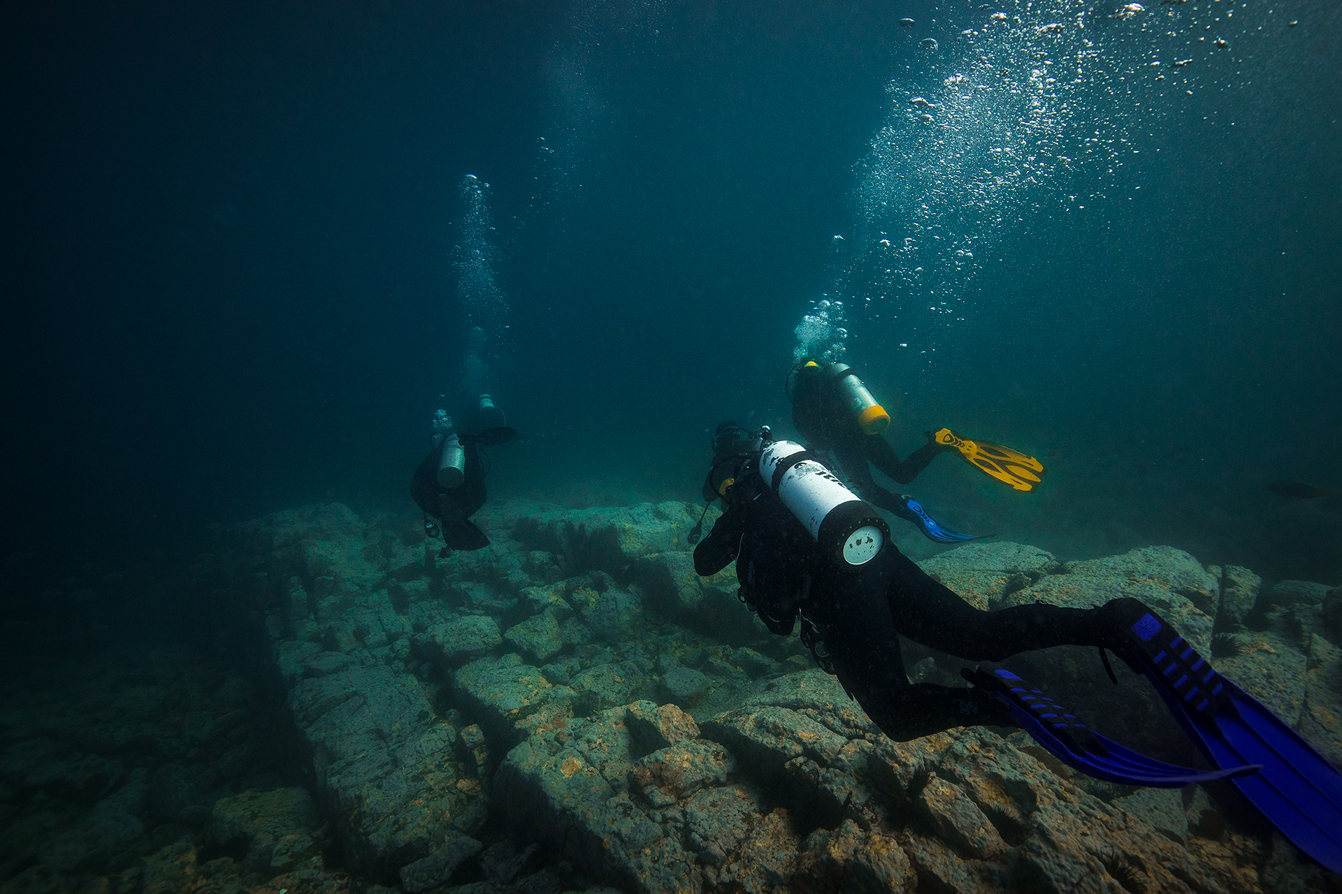 Scuba Diving at Montague Island