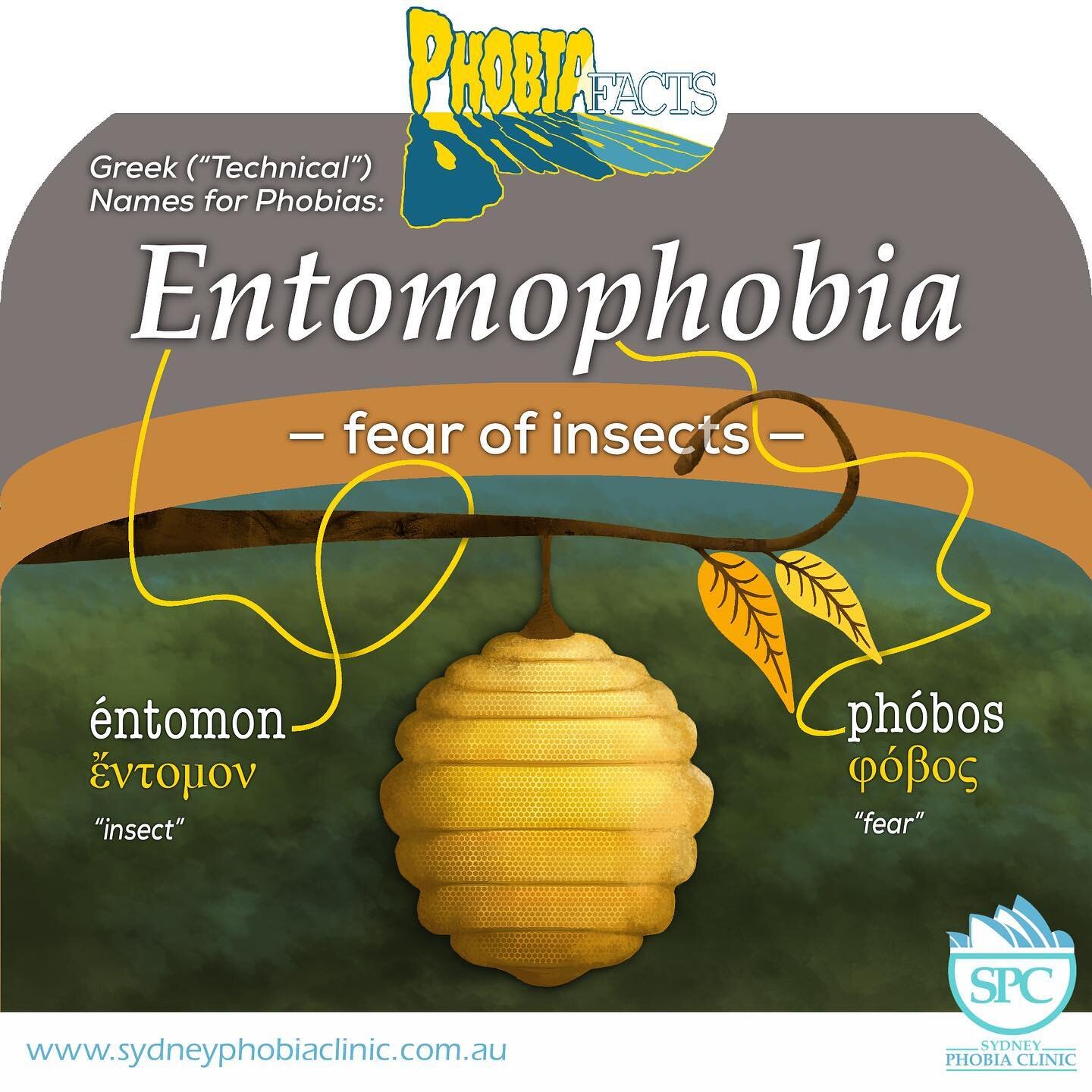 ENTOMOPHOBIA &mdash; fear of insects