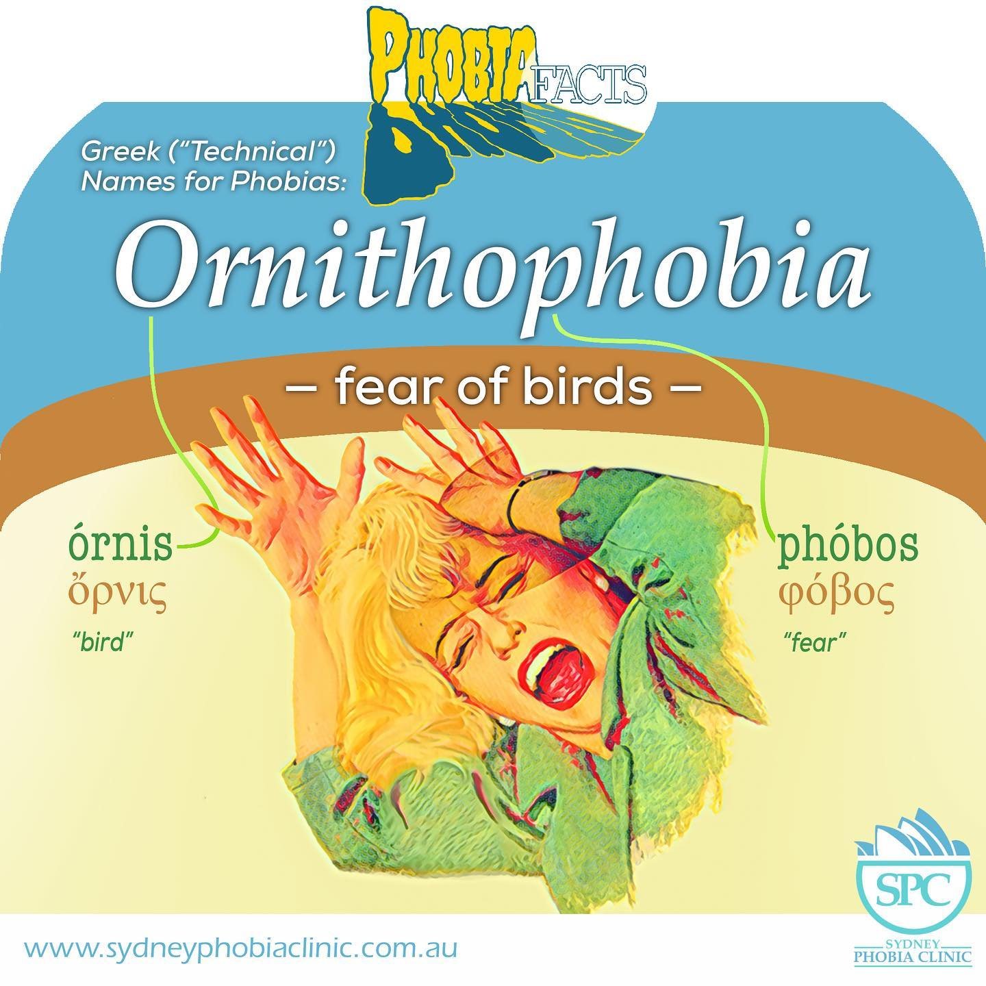 ORNITHOPHOBIA &mdash; fear of birds