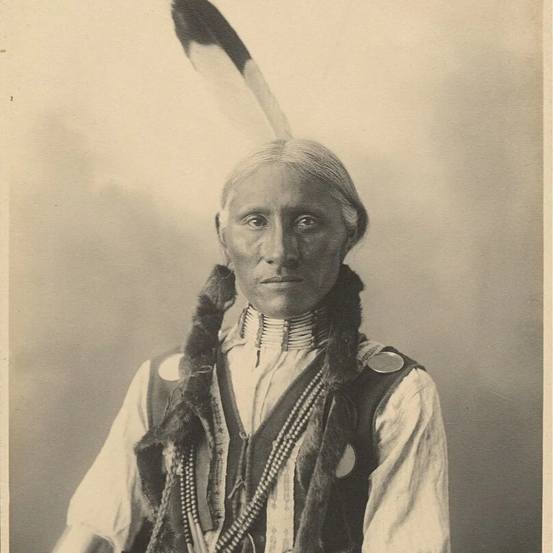 The Transcontinental Railroad and Native Lands: A Story of Displacement and Desolation