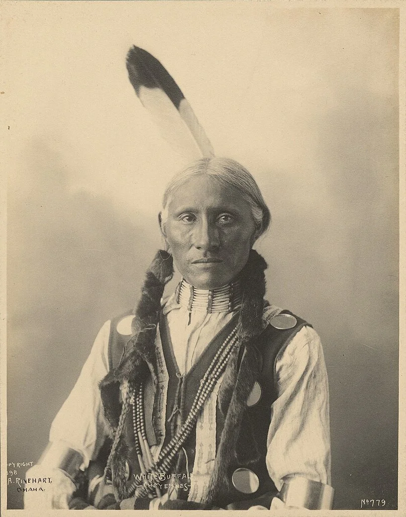 The Transcontinental Railroad and Native Lands: A Story of Displacement ...
