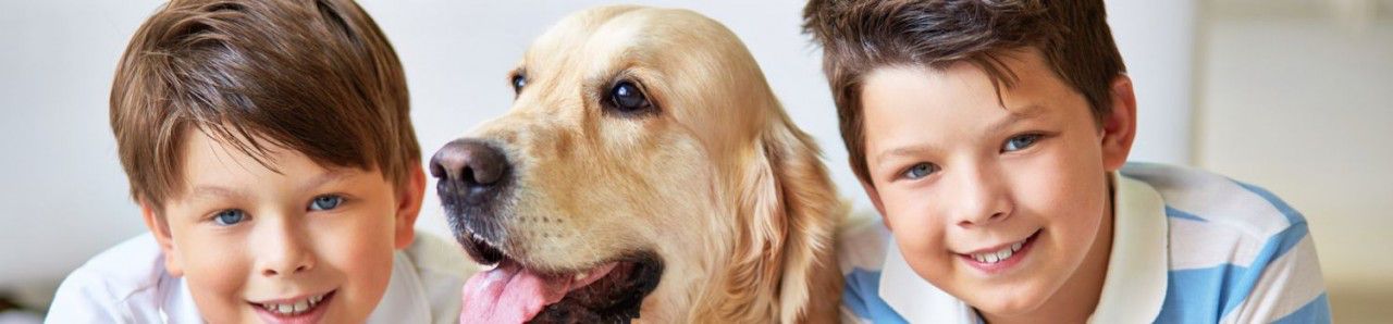 Pet_Relocation_Fotolia_draft_3.jpg