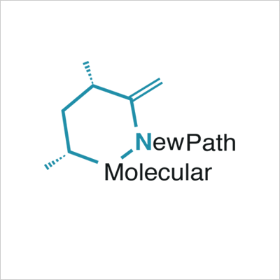 NewPath-2.png