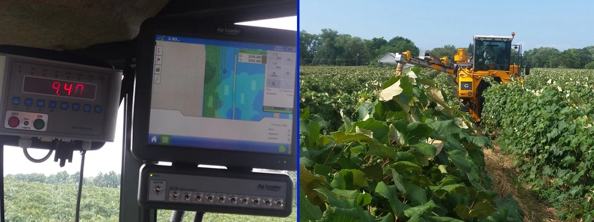 Crop Estimation