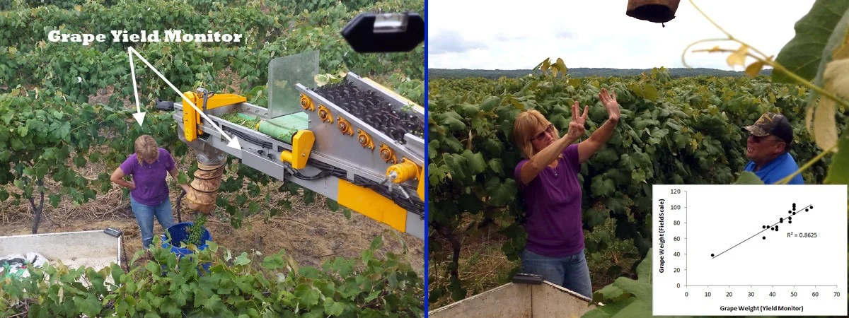 Crop Estimation