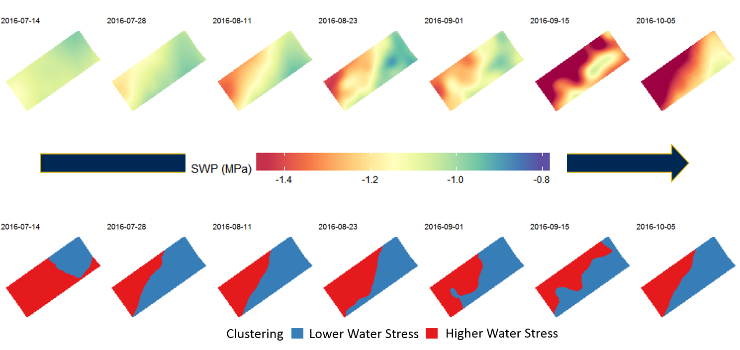 Figure 1. Maps of individual dates stem water potentials (SWP, 1 MPa = 10 bars) and clustering. (top) Kriged maps of plant water status as stem water potential. More negative values (red) correspond to increased water stress. (bottom) k-means clustering of the stem water potential kriged maps in two zones.