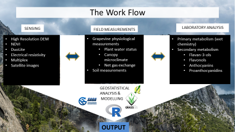 Figure 2. Workflow at the research site.