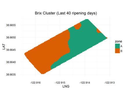 Figure 5. Clustering of Brix accumulation at the research site.