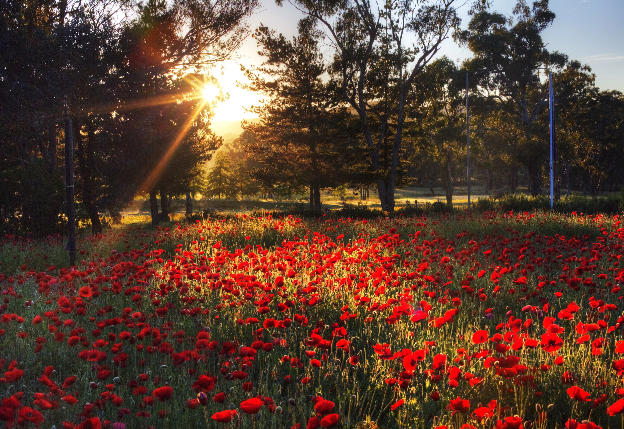Reflections of an Era: Bill Odd | Stanthorpe Pottery Club | Homes of The Guardians: Louise Grayson | Youthful Impressions: Senior Visual Arts Students Stanthorpe State High School