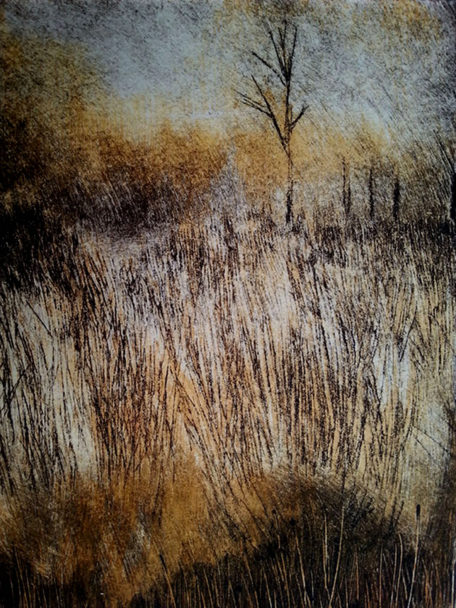 Powell Curtain Springs.jpg