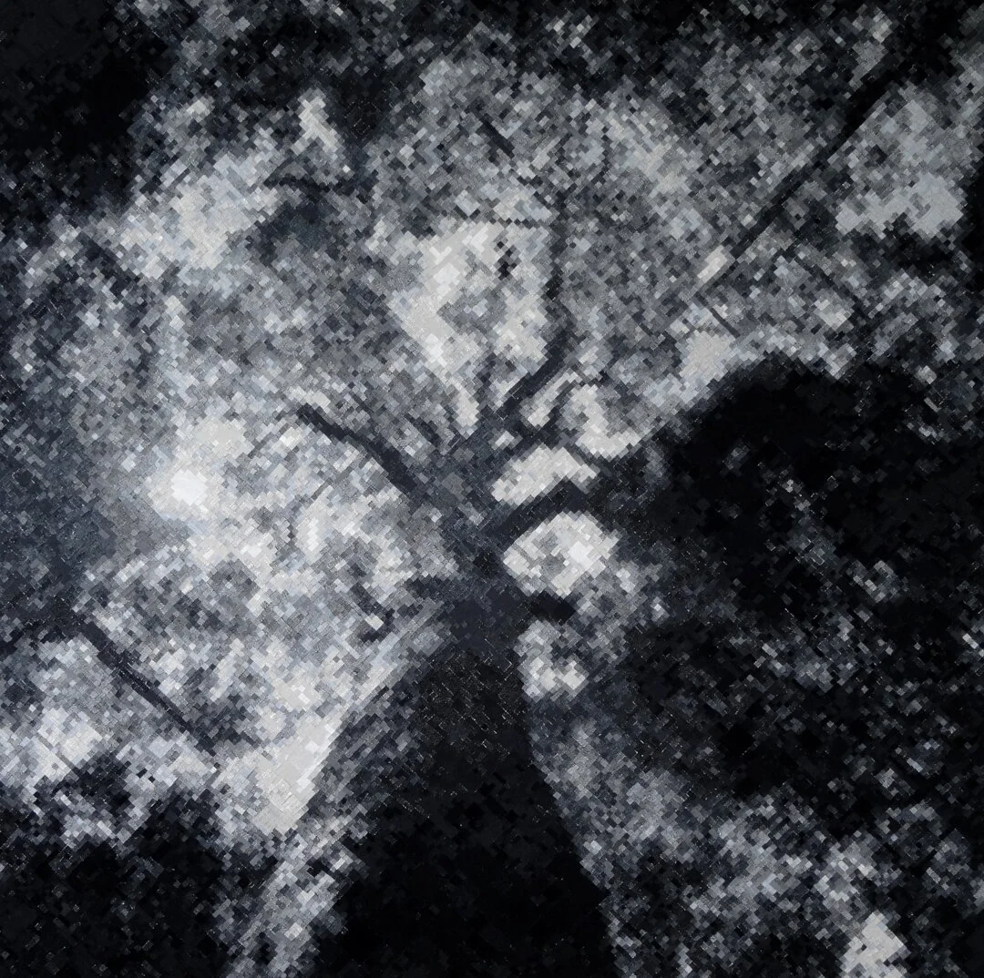 2018 Stanthorpe Art Prize Emerging Artist Prize - Sian Medill -Earth Soldier