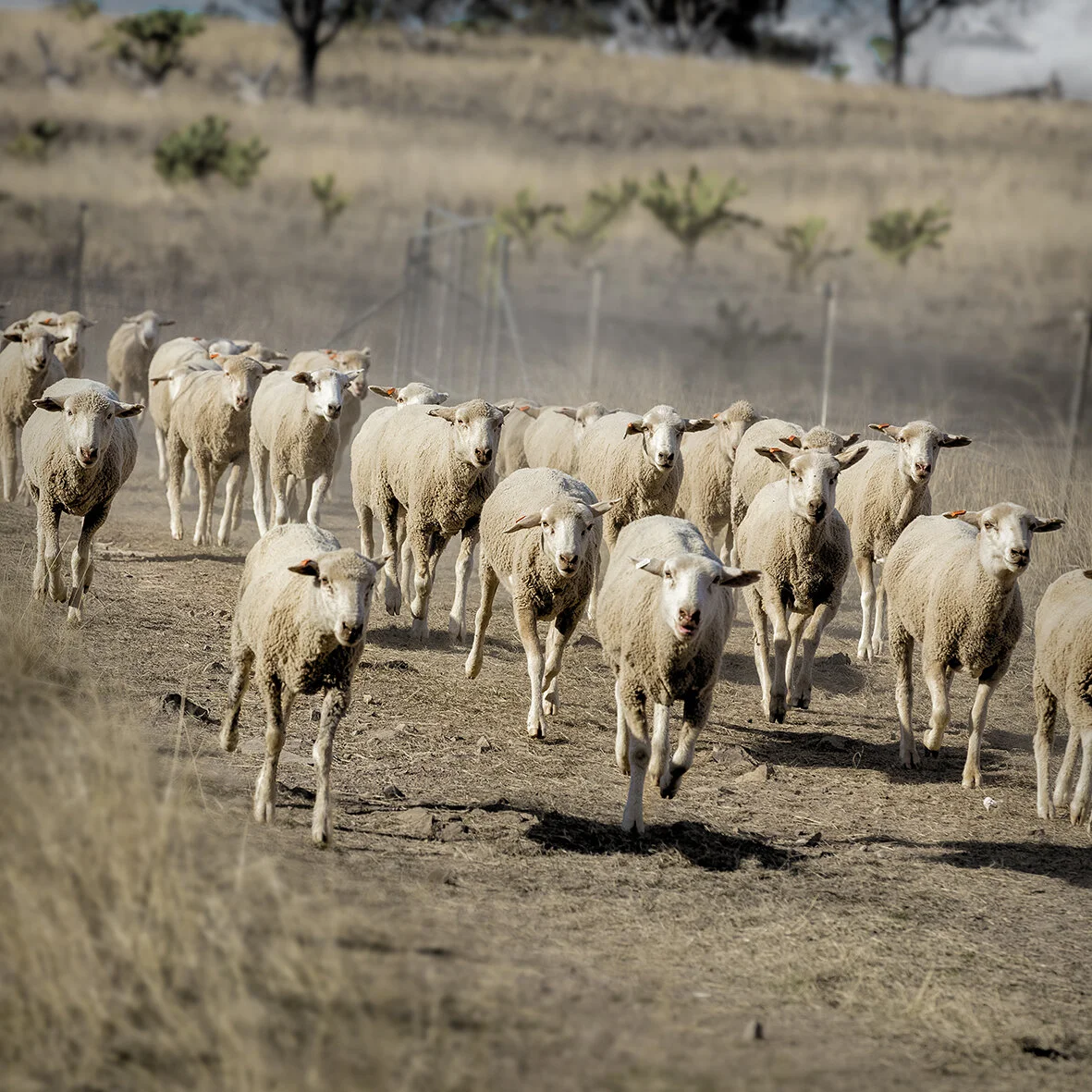 Rush hour by Adrian Ashman