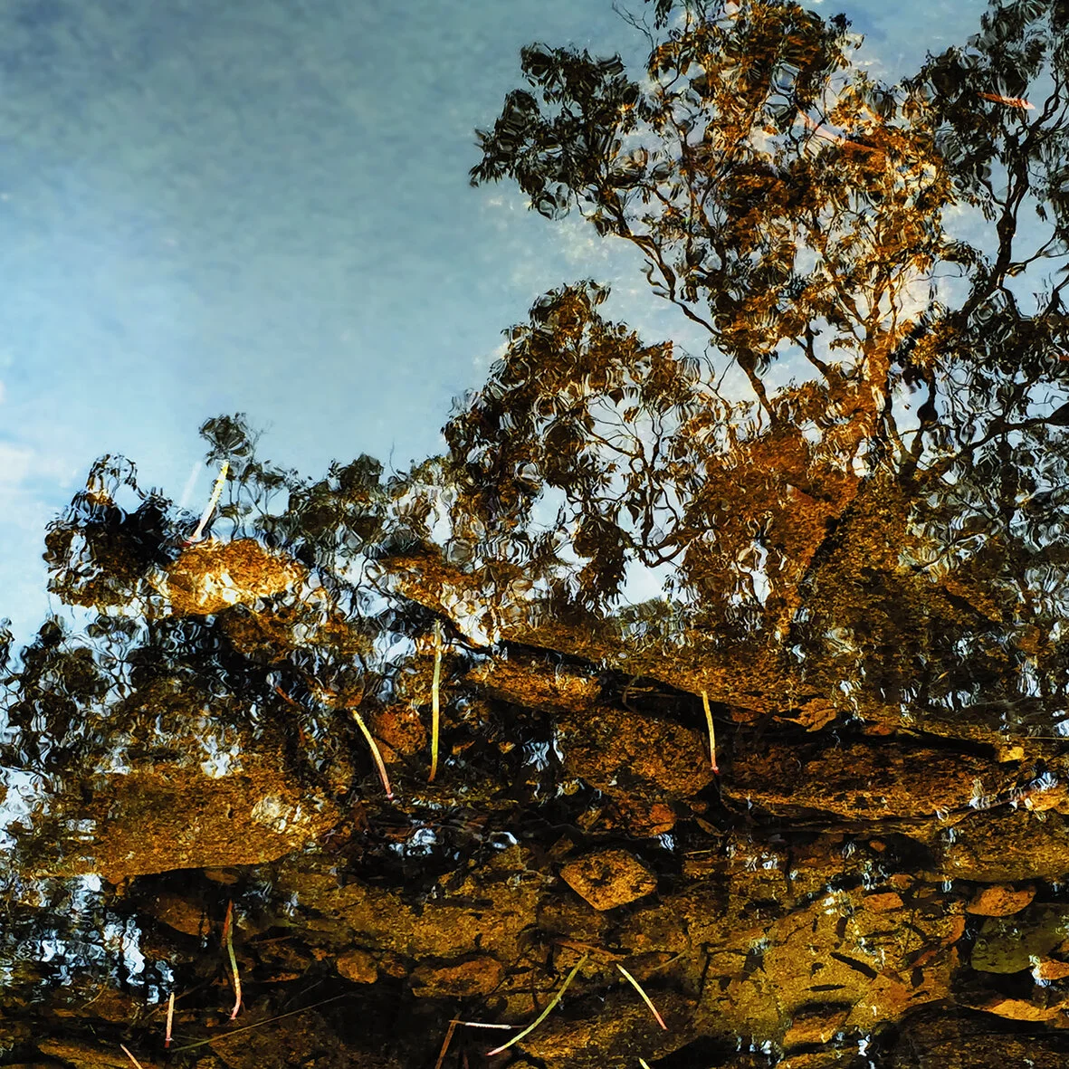 Imagined boundaries by Adrian Ashman