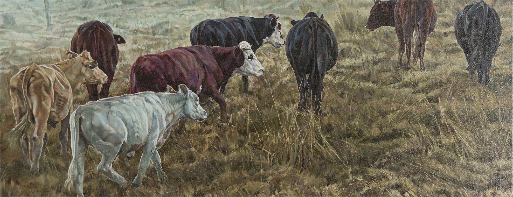 The liston herd by Rob Allen
