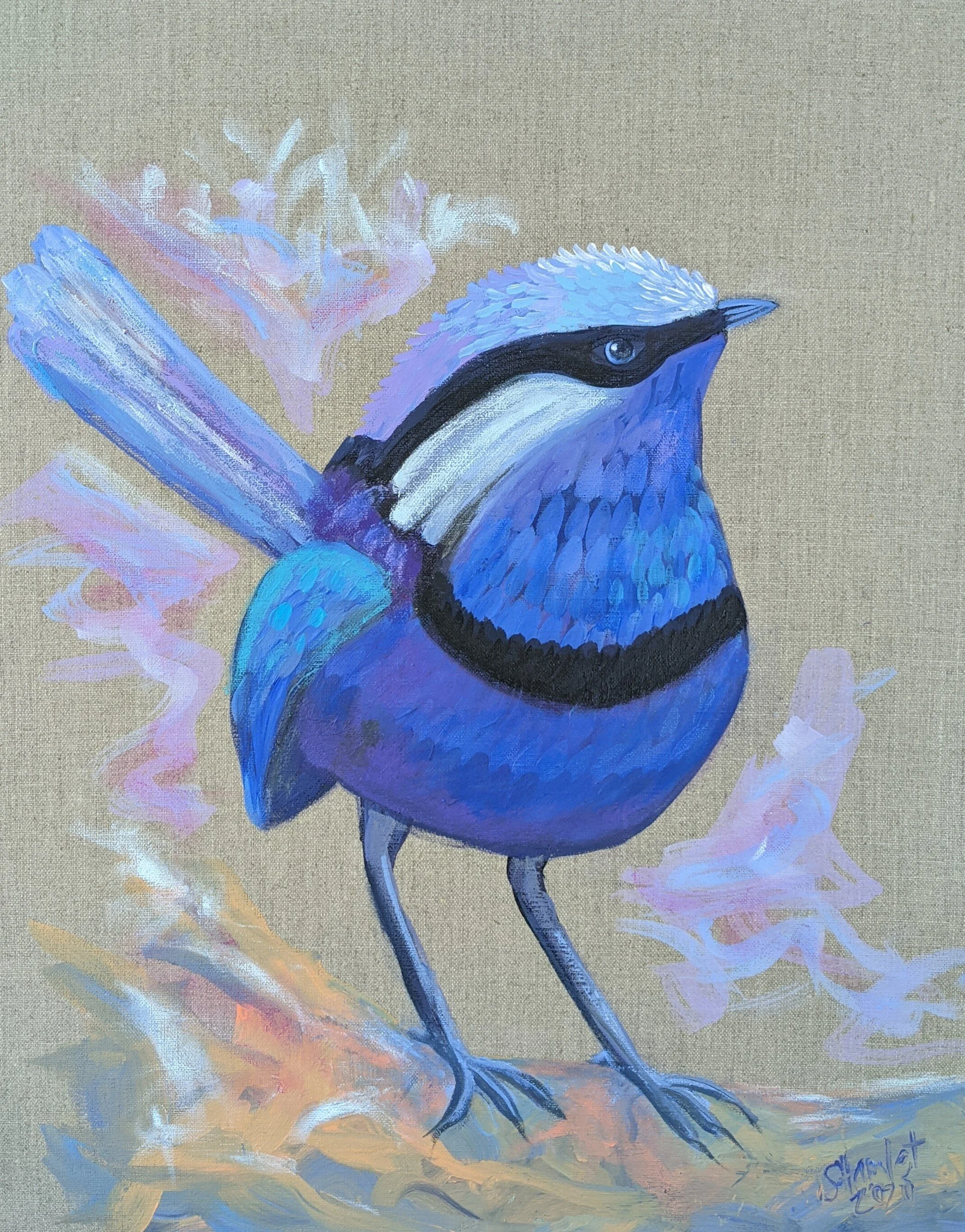Sip and Paint with Susie | Paint a Superb Fairy Wren
