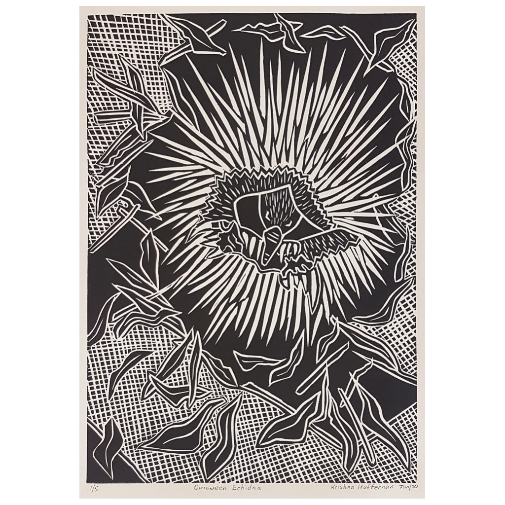 178 Girraween Echidna by Krishna Heffernan-sq.jpg