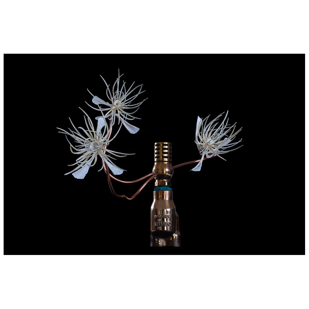 338 Simplicity (Ocean Flowers) by Gabrielle McDonald-sq.jpg