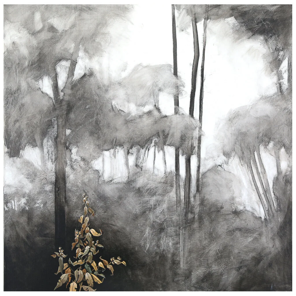 426 Jewels in the Mist 1 by Anita West-sq.jpg