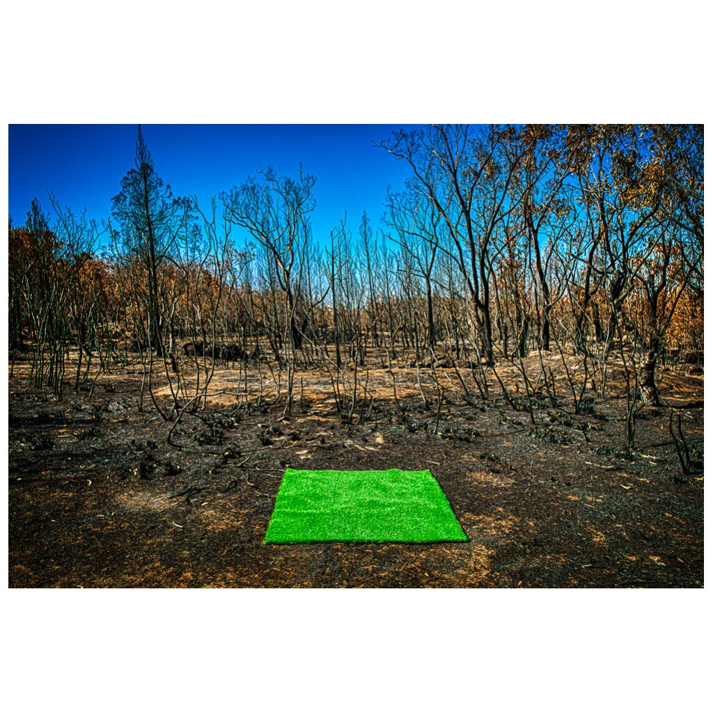 492 Untameable, Terra Australis by Nigel Wesley-sq.jpg