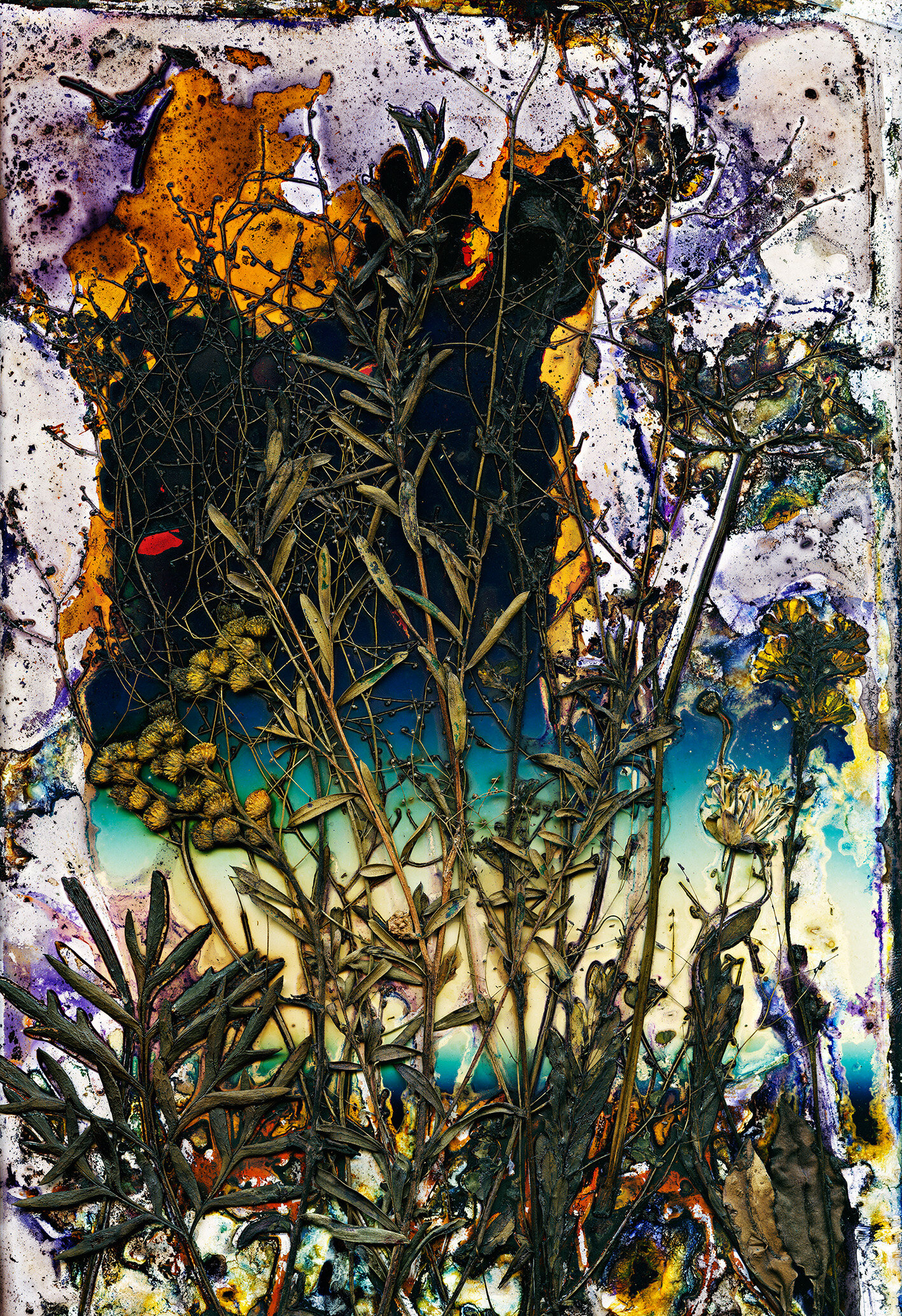 Harrigans Lane Horizon, Renata Buziak