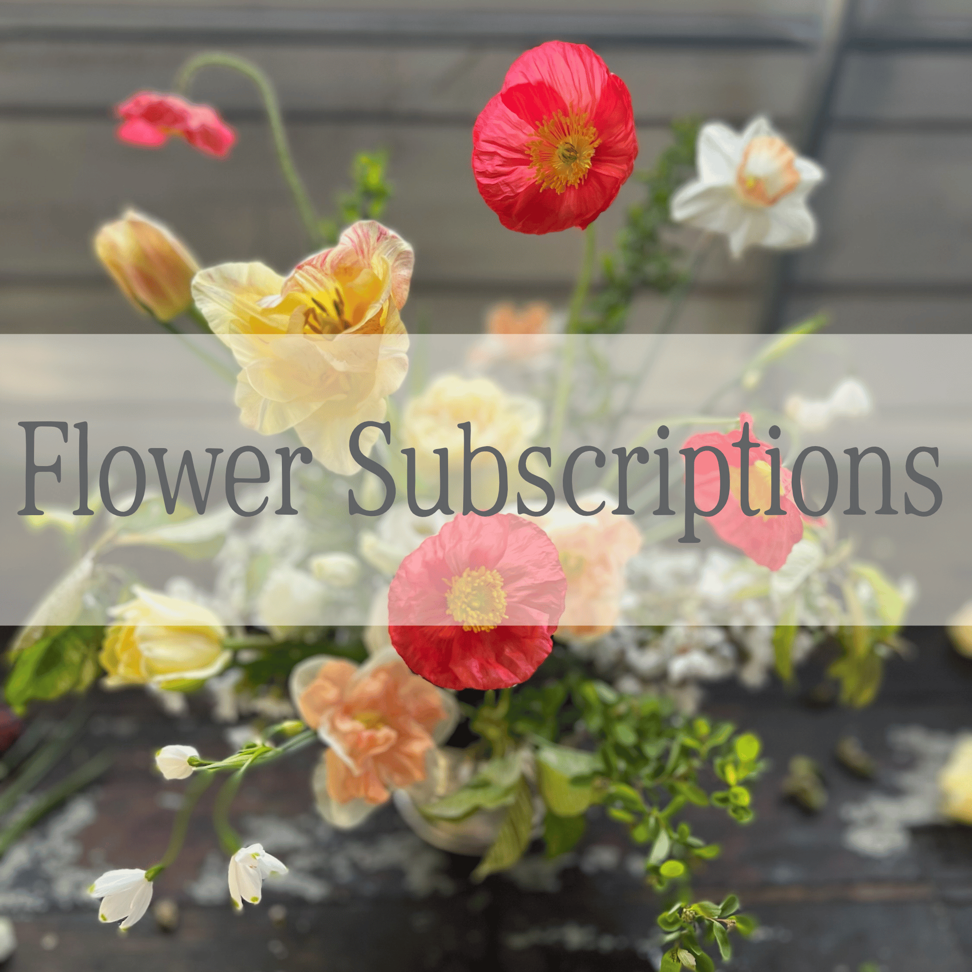 Flower Subscriptions