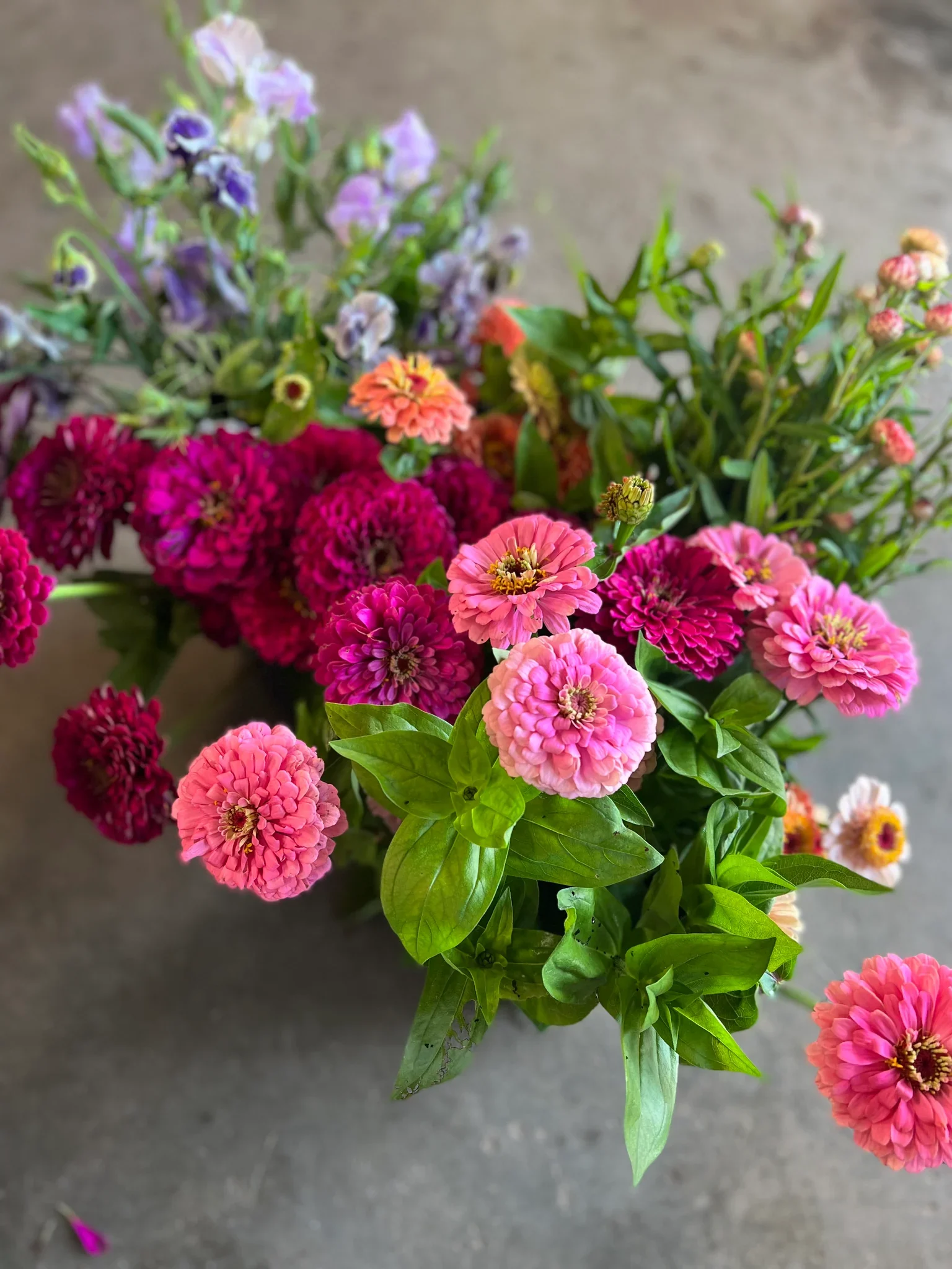 Any Color Mixed Bucket - FLOWERS & GREENERY