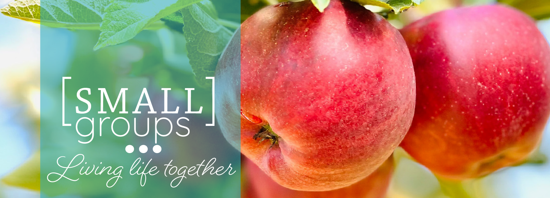 Fall Adult Small Groups