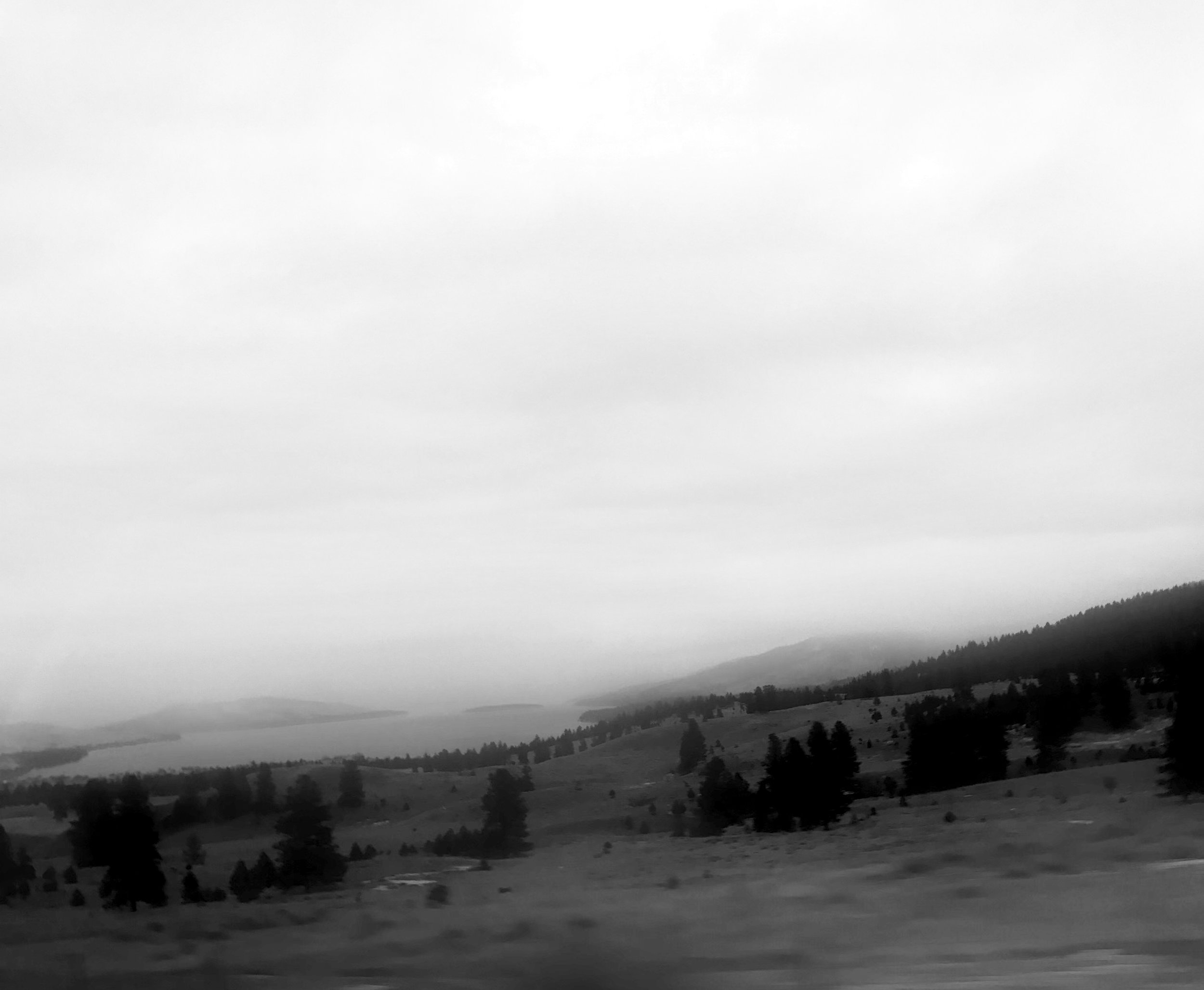 959127FE-5593-4091-9BA6-BFDC8DC08F13.jpeg