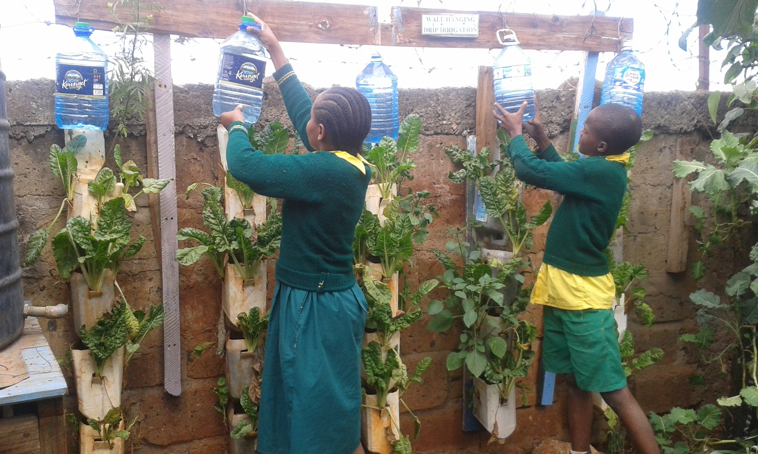 Professor Wangari Maathai Urban Garden