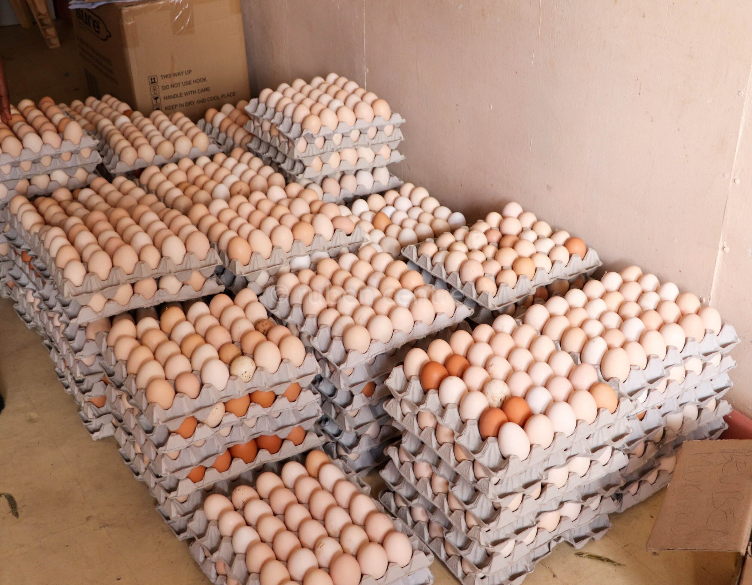 Eggs donated by Kenchic to the Ruben Centre.