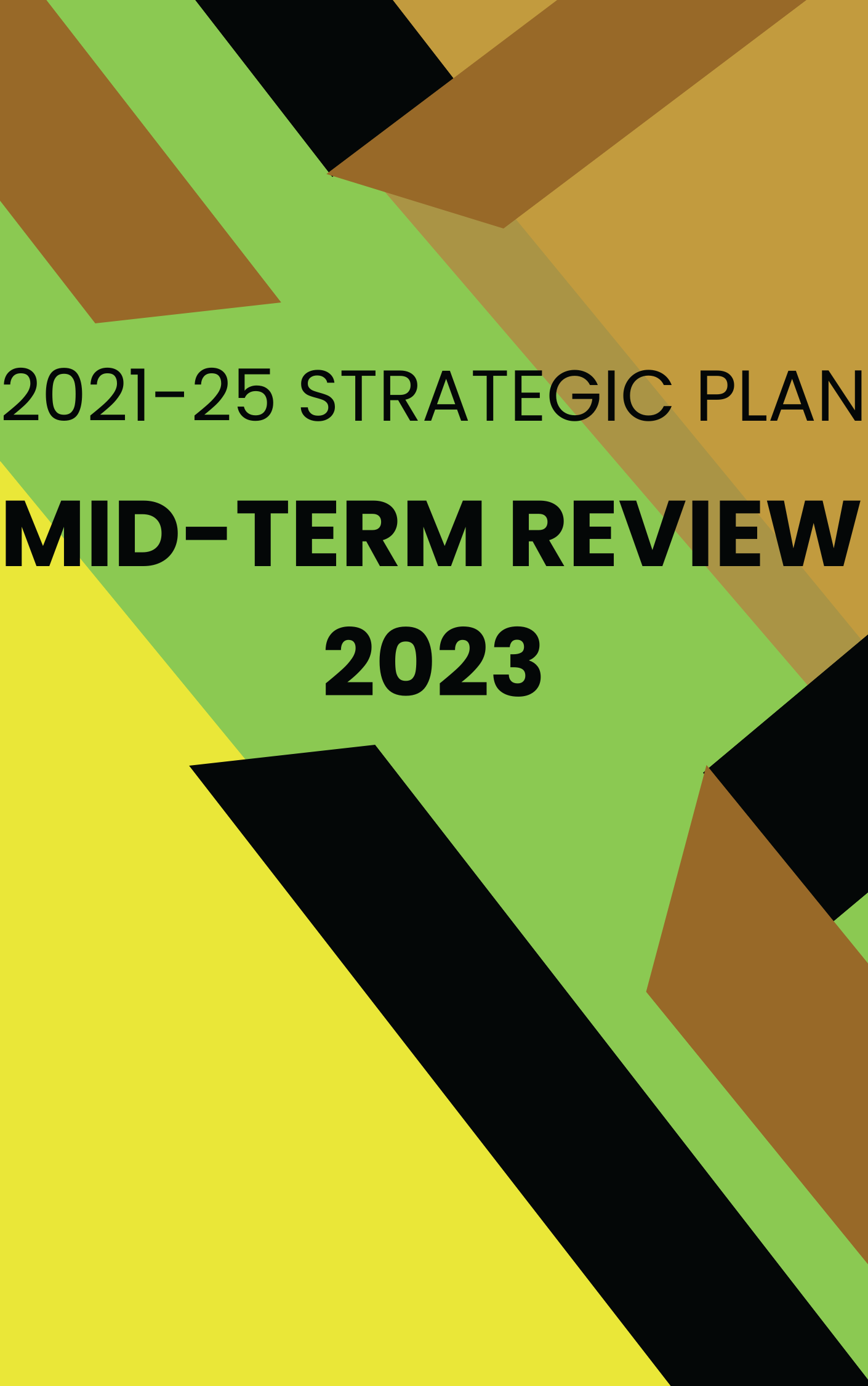 2021-25 Strategic Plan mid-term review