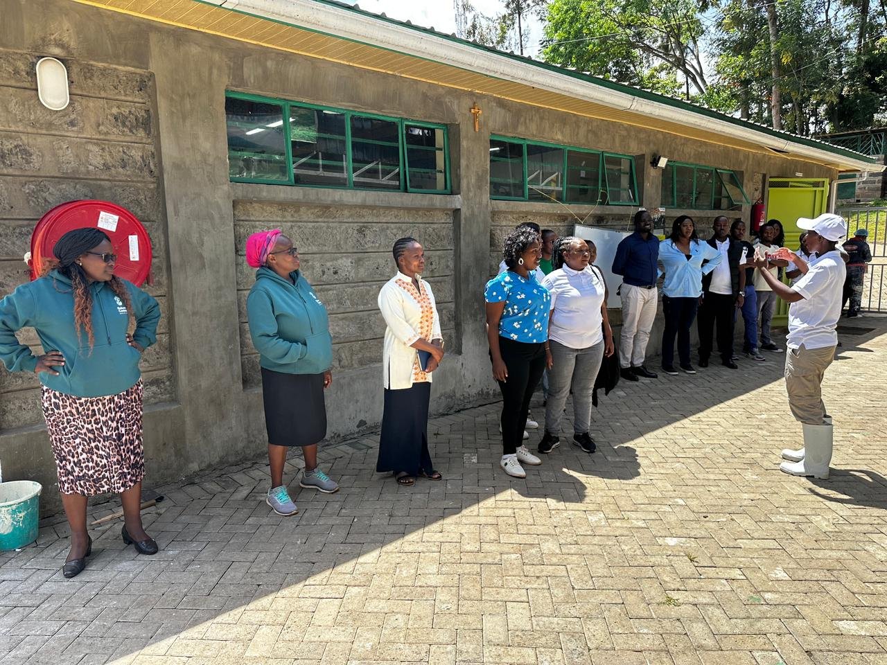 WhatsApp Image 2026-04-12 at 17.16.14.jpeg