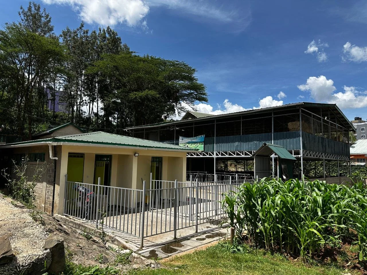 WhatsApp Image 2026-04-12 at 17.16.18 (1).jpeg