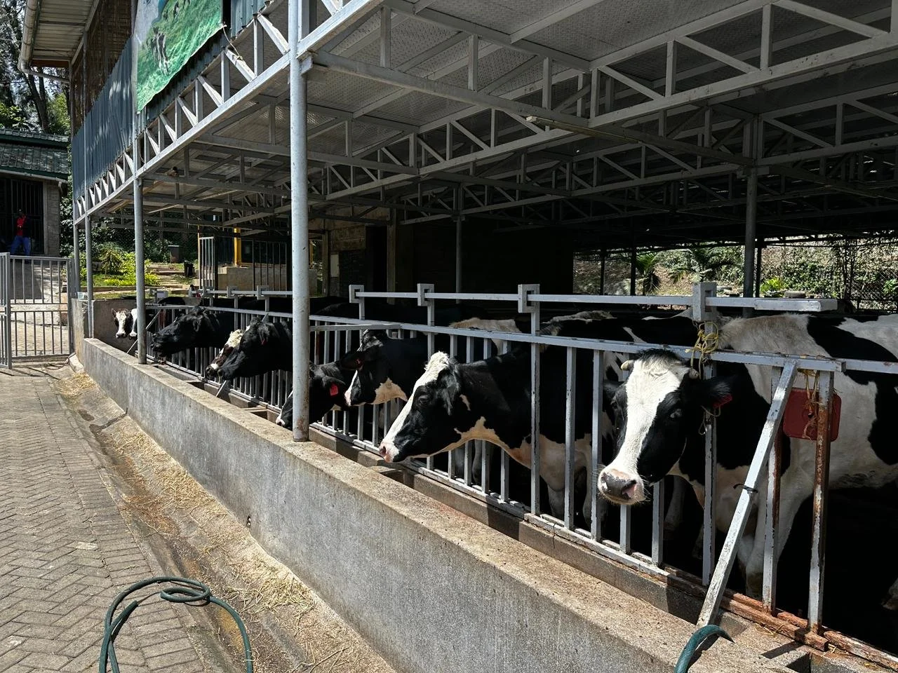 WhatsApp Image 2026-04-12 at 17.16.16 (2).jpeg