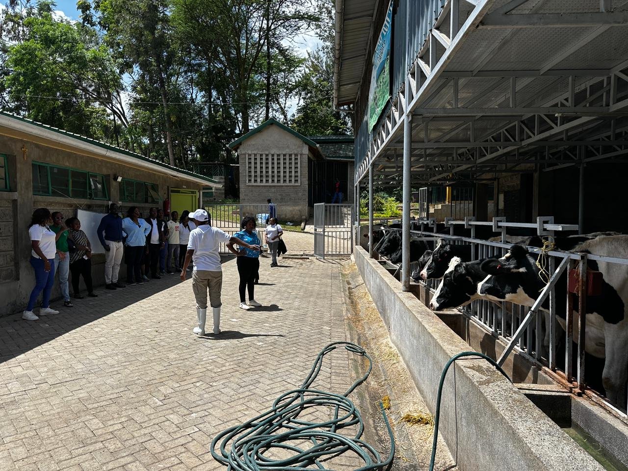 WhatsApp Image 2026-04-12 at 17.16.16.jpeg