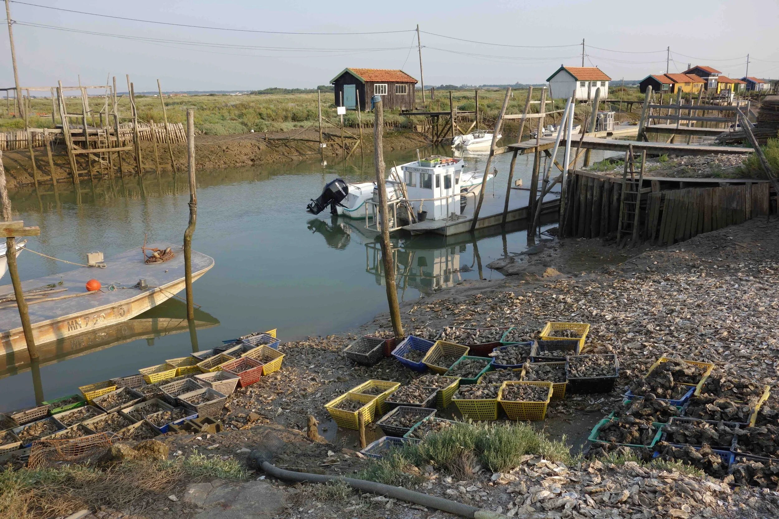 La Tremblade | Charente Maritime | France | photo sandrine cohen