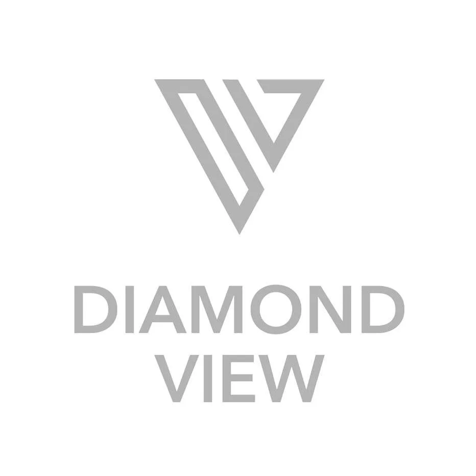 Diamond View Logo.jpg