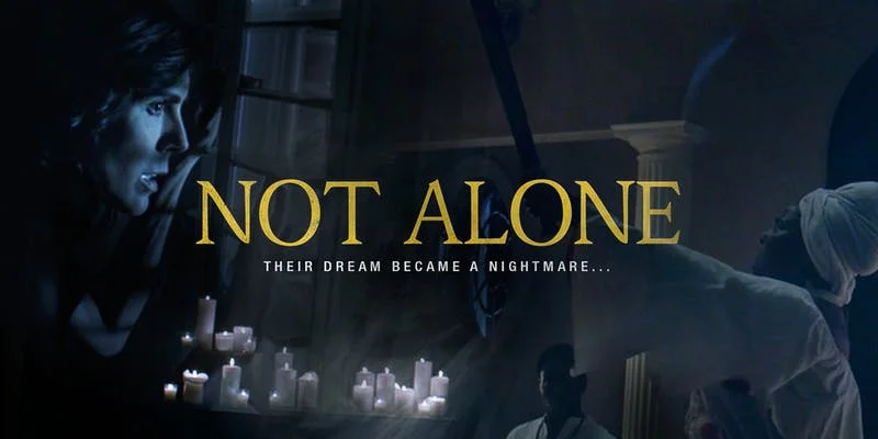 not alone poster.jpg