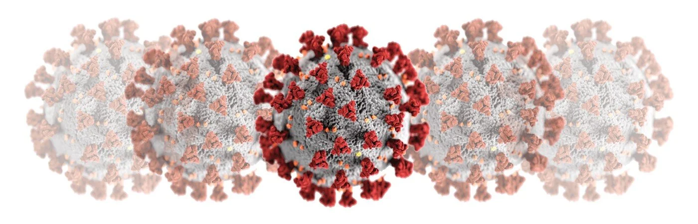 covid-19 virus.jpeg