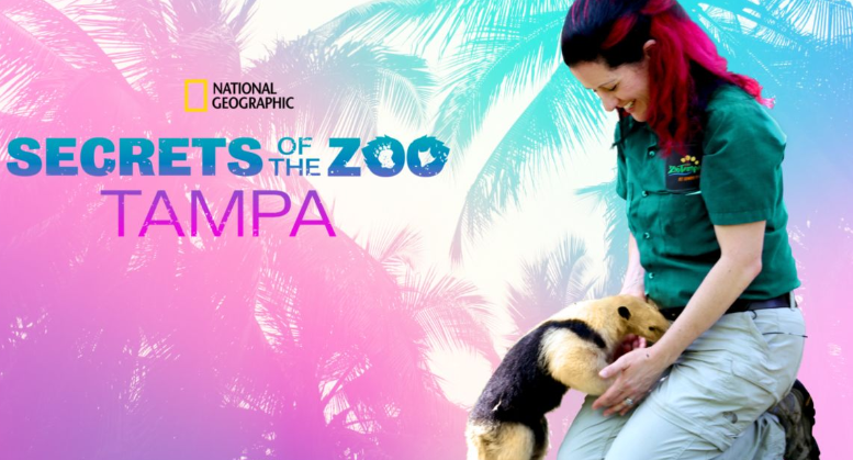 secrets of the zoo tampa.PNG
