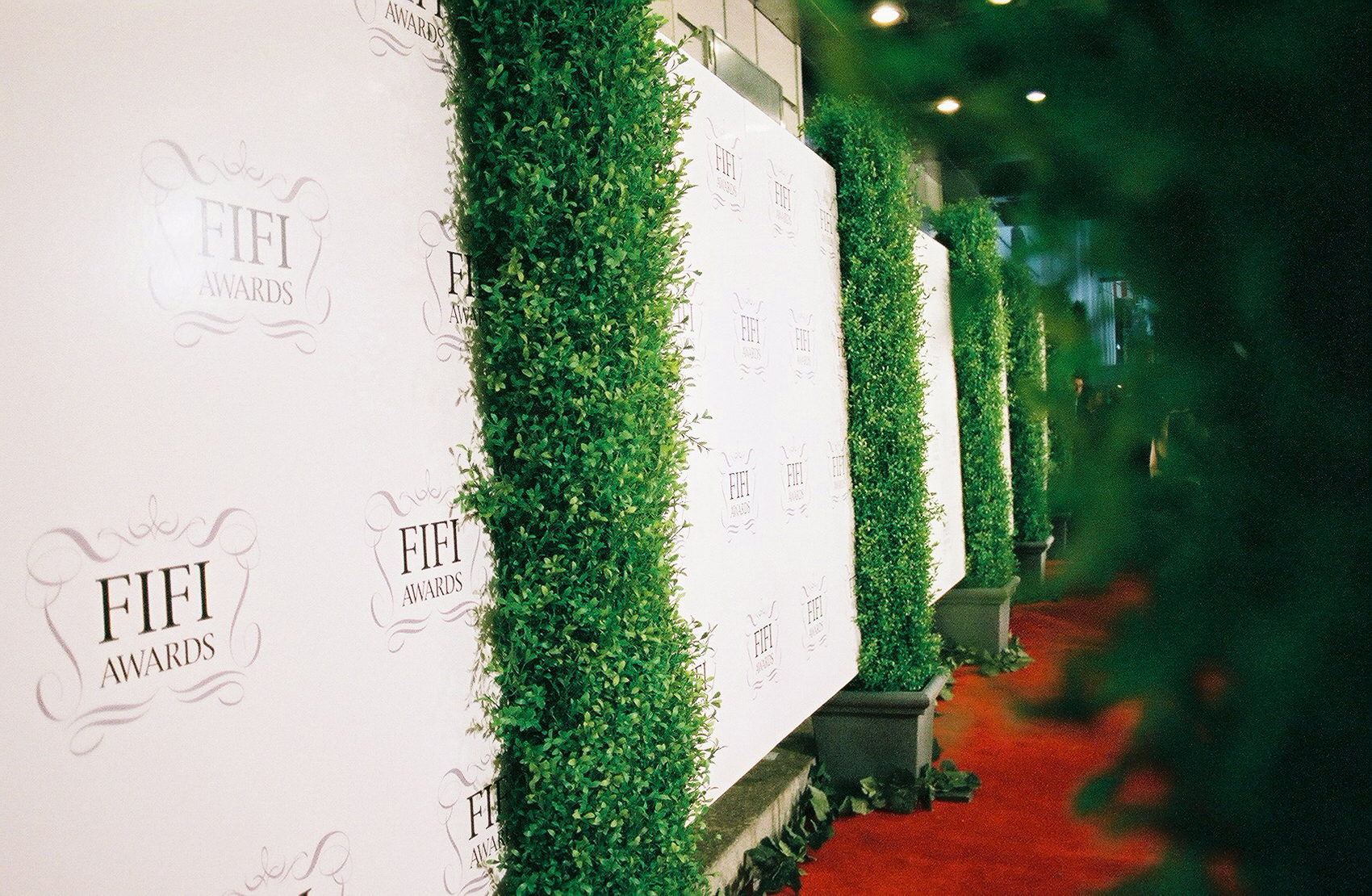Fifi Awards Red Carpet
