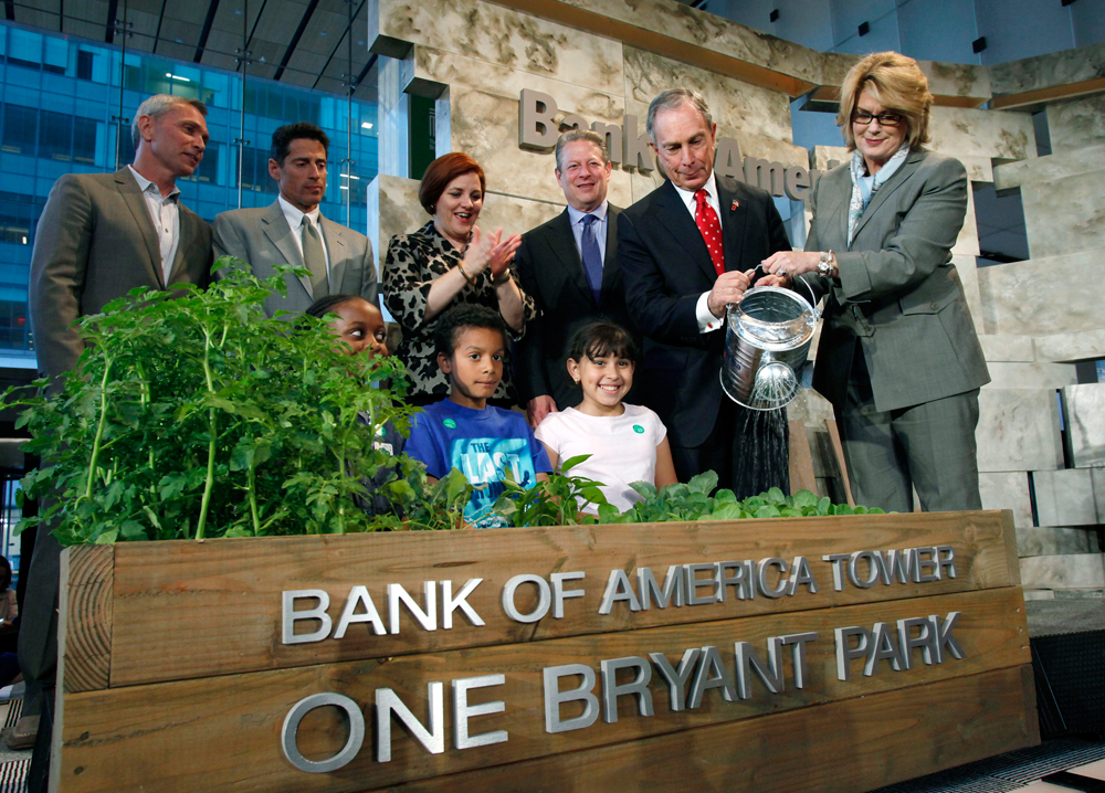 Bank of America Building Grand Opening